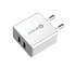 Dual Port USB 2.4A Wall Charger (w Micro USB Cable)