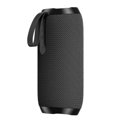 Echo Portable Wireless Speaker (EC-80)